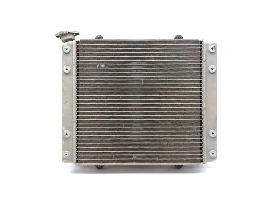 Engine Radiator Cooling 2009 Kawasaki Teryx 750 KRF750G 4x4 FI 3322