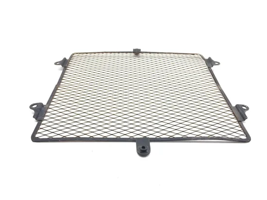 Engine Radiator Grill Guard 2009 Kawasaki Teryx 750 KRF750G 4x4 FI 3322