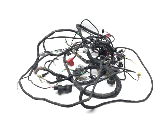 Main Engine Wiring Harness 2009 Kawasaki Teryx 750 KRF750G 4x4 FI 3322