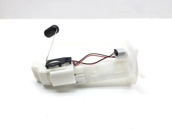 Gas Fuel Tank Pump 2009 Kawasaki Teryx 750 KRF750G 4x4 FI 3322