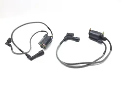 Ignition Coil 2002 Kawasaki Vulcan 1500 VN1500E Classic 3341