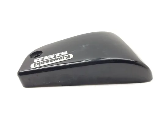 Left Side Cover 2002 Kawasaki Vulcan 1500 VN1500E Classic 3341 x