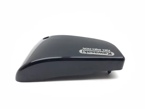 Right Side Cover 2002 Kawasaki Vulcan 1500 VN1500E Classic 3341 x