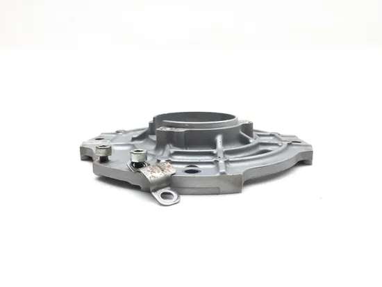 Stator Mount Plate 2002 Kawasaki Vulcan 1500 VN1500E Classic 3341