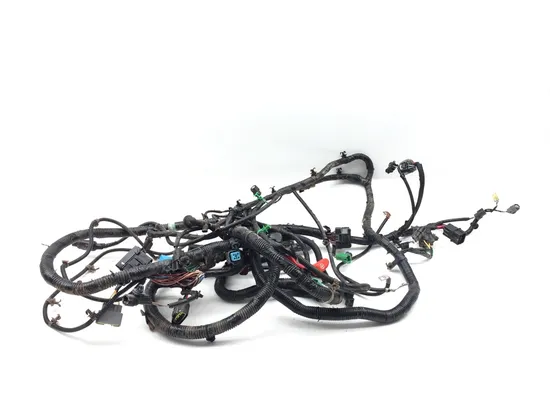 Main Engine Wiring Harness 2016 Honda Pioneer 700-4 SXS700M4 3376