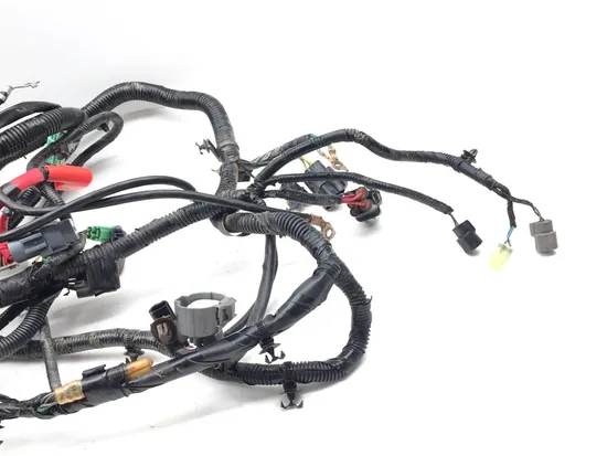Main Engine Wiring Harness 2016 Honda Pioneer 700-4 SXS700M4 3376