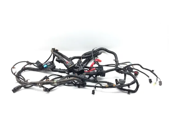 Main Engine Wiring Harness 2016 Honda Pioneer 700-4 SXS700M4 3376