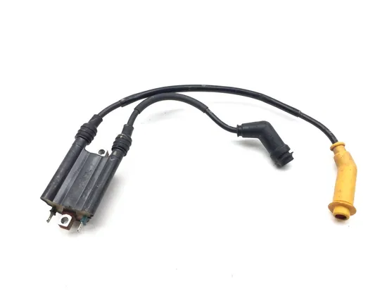 Ignition Coil 2016 Honda Pioneer 700-4 SXS700M4 3376