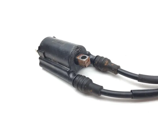 Ignition Coil 2016 Honda Pioneer 700-4 SXS700M4 3376