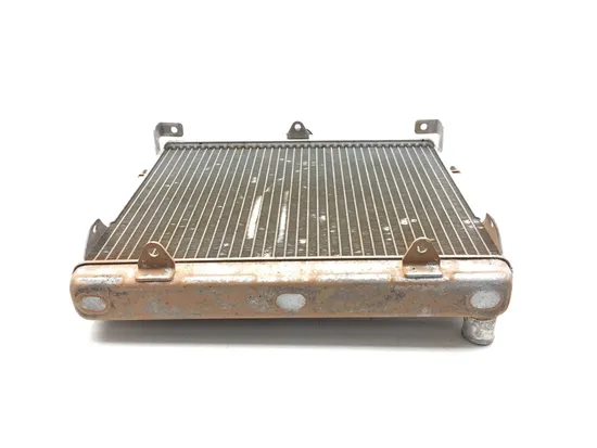 Engine Radiator Cooling 2017 Honda Pioneer 700 SXS700M2D Deluxe 3378