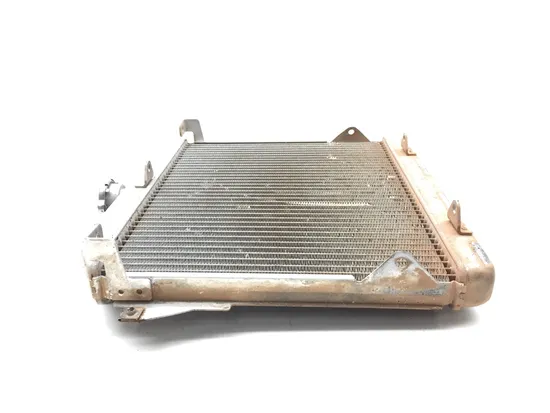 Engine Radiator Cooling 2017 Honda Pioneer 700 SXS700M2D Deluxe 3378