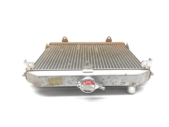 Engine Radiator Cooling 2017 Honda Pioneer 700 SXS700M2D Deluxe 3378