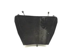 Radiator Cooling Front Fluid with Fan 2008 Honda CBR1000RR 3371 x