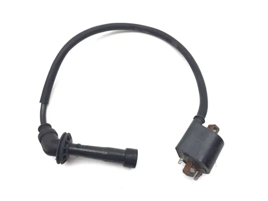 Ignition Coil Set 2003 Suzuki Vstrom 1000 DL1000 3379