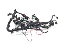 Main Engine Wiring Harness 2003 Suzuki Vstrom 1000 DL1000 3379