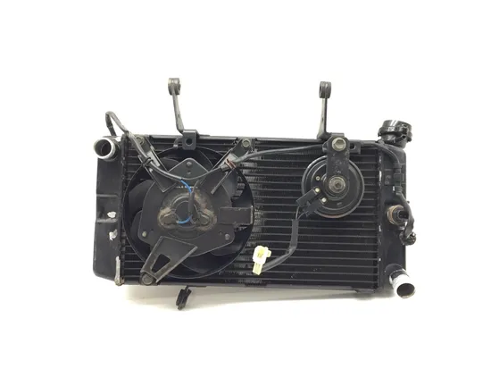 Radiator Cooling Front Fluid with Fan 2003 Suzuki Vstrom 1000 DL1000 3379 x