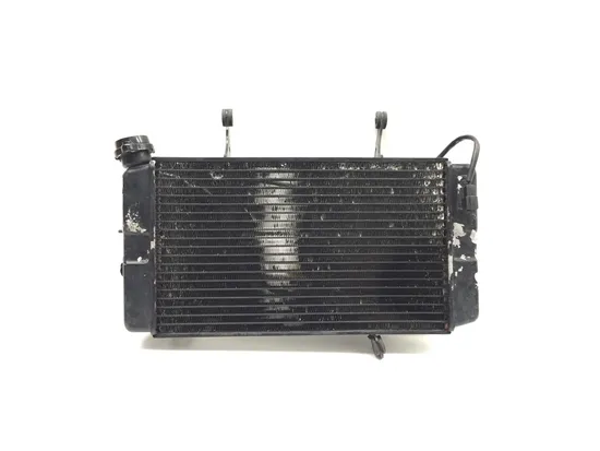 Radiator Cooling Front Fluid with Fan 2003 Suzuki Vstrom 1000 DL1000 3379 x