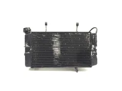 Radiator Cooling Front Fluid with Fan 2003 Suzuki Vstrom 1000 DL1000 3379 x