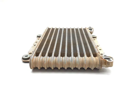 Engine Oil Cooler 2024 Yamaha Wolverine RMAX4 1000 YXF10 XT-R 3377