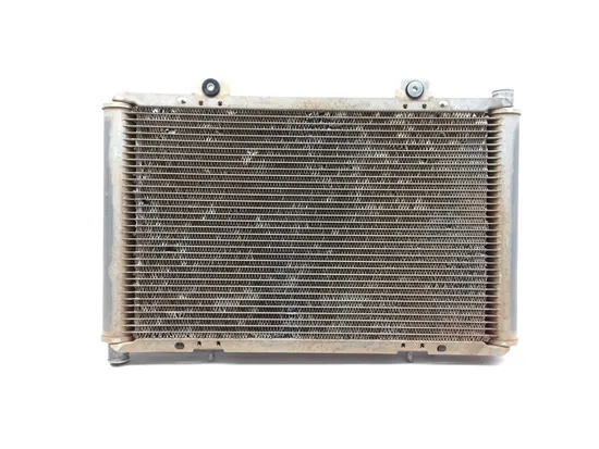 Engine Radiator Cooling 2015 Can-Am Commander 800R 4x4 DPS 3375 x