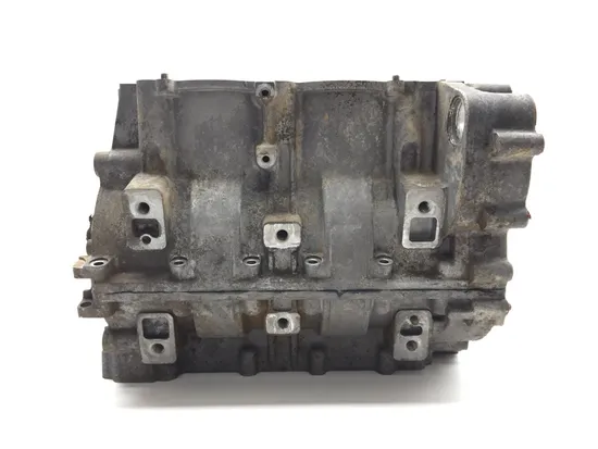 Engine Upper Lower Center Cases Case 2021 Polaris RZR XP 1000 EPS 3382