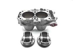 Engine Cylinder Jug W Piston 2018 Polaris RZR XP Turbo EPS Fox Edition 3381