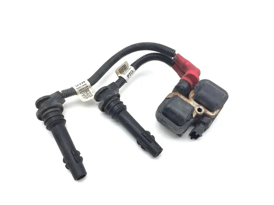 Ignition Coil 2018 Polaris RZR XP Turbo EPS Fox Edition 3381