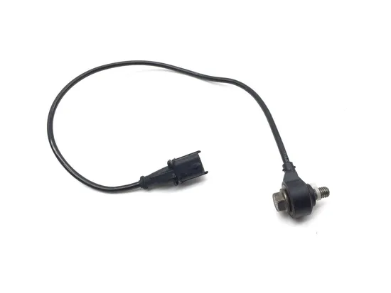 Knock Sensor 2018 Polaris RZR XP Turbo EPS Fox Edition 3381