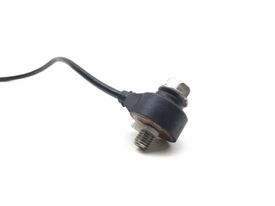 Knock Sensor 2020 Polaris RZR XP 4 Turbo 3383 3