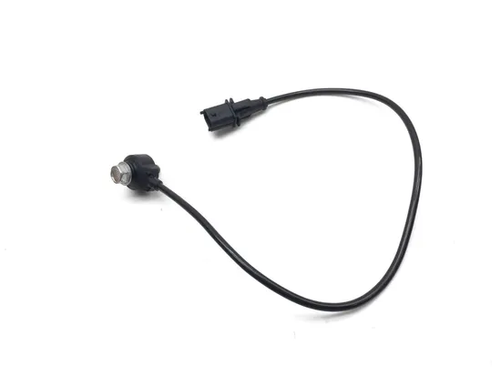 Knock Sensor 2020 Polaris RZR XP 4 Turbo 3383 1