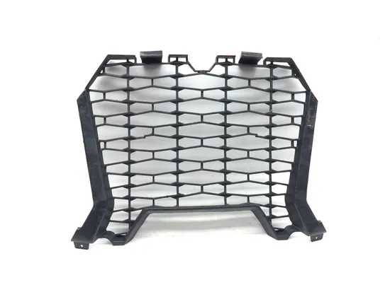 Engine Radiator Grill Guard 2020 Polaris RZR XP 4 Turbo 3383 1