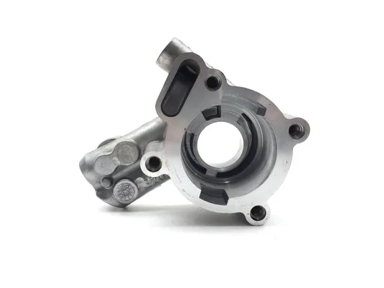 Cam Support Plate Oil Pump 2013 Harley-Davidson Road Glide Custom FLTRX 3384 x