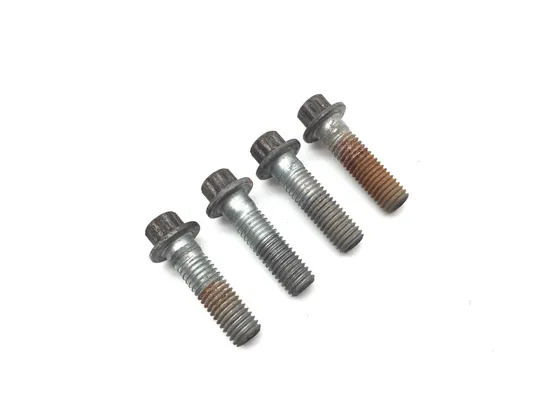 Front Brake Caliper Mounting Bolts 2013 Harley Road Glide Custom FLTRX 3384