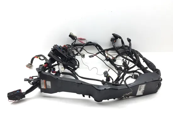 Main Engine Wiring Harness 2013 Harley-Davidson Road Glide Custom FLTRX 3384 x 6