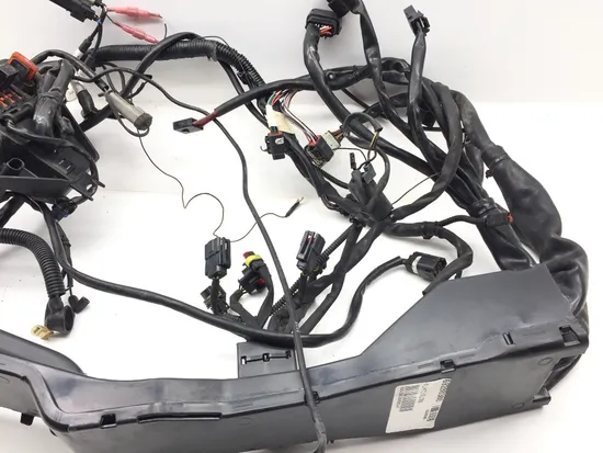 Main Engine Wiring Harness 2013 Harley-Davidson Road Glide Custom FLTRX 3384 x 8