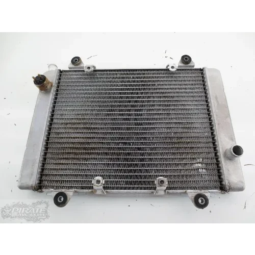 Engine Radiator Cooling 2008 Kawasaki Brute Force 650 KVF650D 4x4 478 3