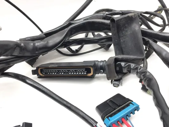 Main Engine Wiring Harness 2000 Harley Electra Glide Ultra Classic EFI 3385