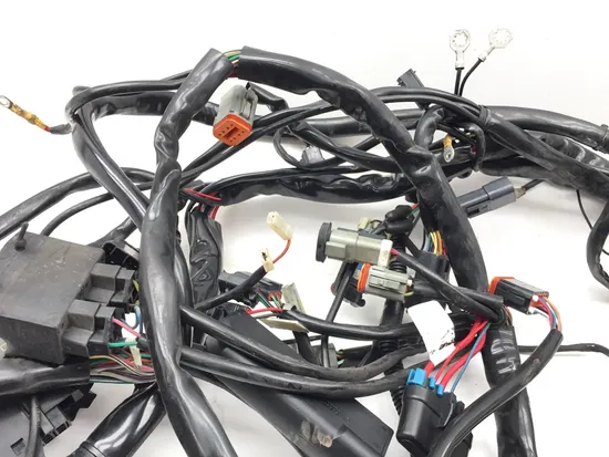 Main Engine Wiring Harness 2000 Harley Electra Glide Ultra Classic EFI 3385