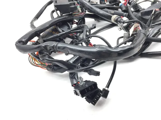 Main Engine Wiring Harness 2000 Harley Electra Glide Ultra Classic EFI 3385