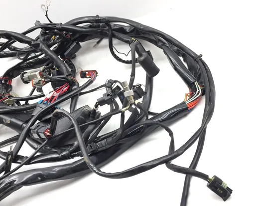 Main Engine Wiring Harness 2000 Harley Electra Glide Ultra Classic EFI 3385