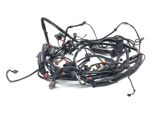 Main Engine Wiring Harness 2000 Harley Electra Glide Ultra Classic EFI 3385