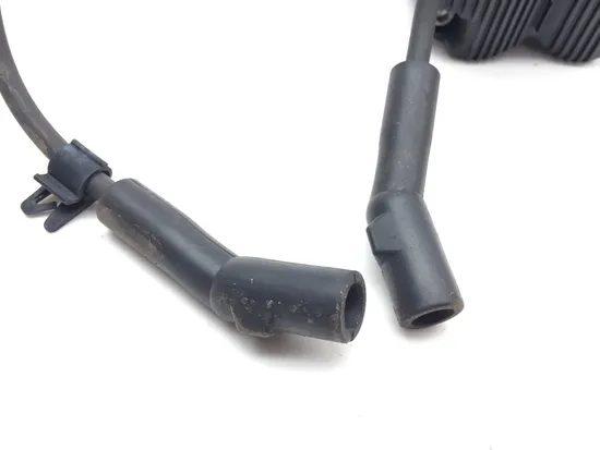 Ignition Coil Set 2006 Harley-Davidson Electra Glide Classic EFI FLHTCI 3386 2