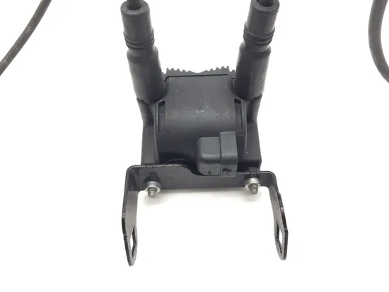 Ignition Coil Set 2006 Harley-Davidson Electra Glide Classic EFI FLHTCI 3386 5