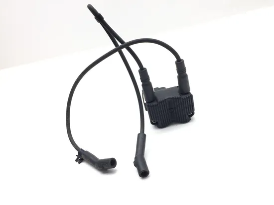 Ignition Coil Set 2006 Harley-Davidson Electra Glide Classic EFI FLHTCI 3386 1