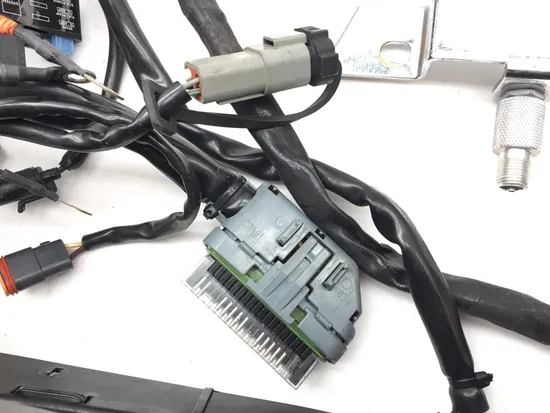 Main Engine Wiring Harness 2006 Harley Electra Glide Classic EFI FLHTCI 3386 4