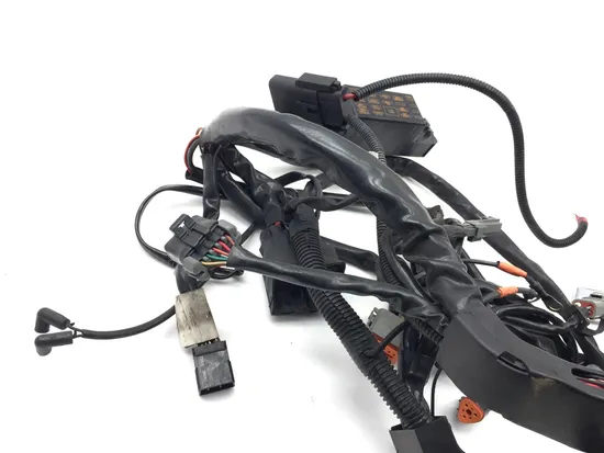 Main Engine Wiring Harness 2006 Harley Electra Glide Classic EFI FLHTCI 3386 2