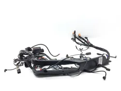 Main Engine Wiring Harness 2006 Harley Electra Glide Classic EFI FLHTCI 3386