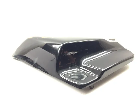 Left Right Side Covers 2006 Harley Electra Glide Classic EFI FLHTCI 3386 x 5