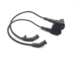 Ignition Coil Set 2005 Harley-Davidson Road King Classic EFI FLHRCI 3395