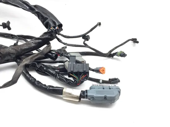 Main Engine Wiring Harness 2005 Harley Road King Classic EFI FLHRCI 3395 4